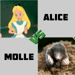 ALICE VS MOLLE