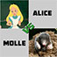 ALICE packs vs MOLLE packs thumbnail