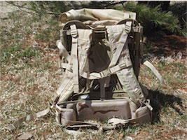 government-issue-molle-II-pack_3